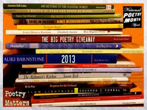 My Try Poetry Giveaway
